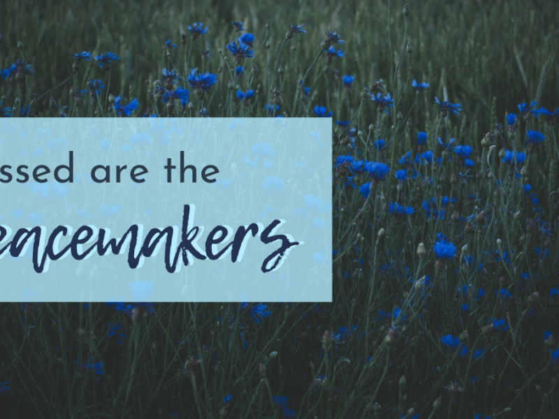 PeaceMAKERS