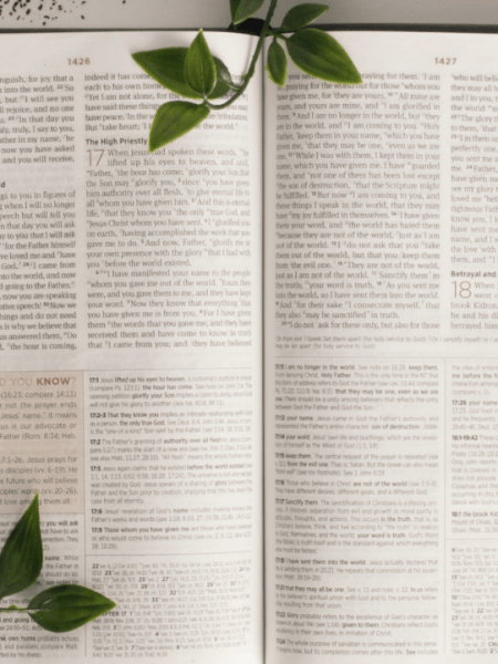 Beat Burnout Bible&nbsp;Study